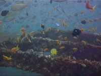 Fontano Wreck